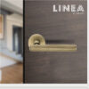 BLR1005 - Linea