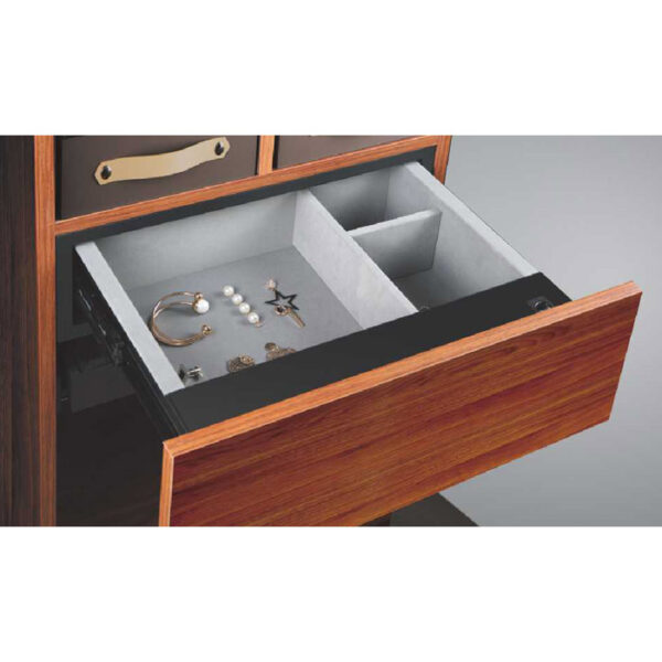 Biometric Safe drawer