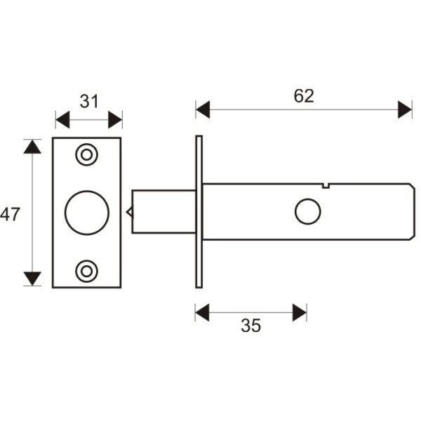 Security Bolt