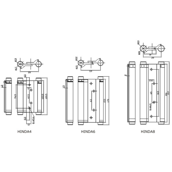 Double action spring hinge