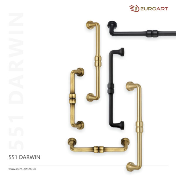 551 Darwin