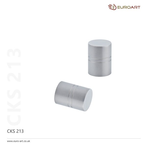 CKS 213